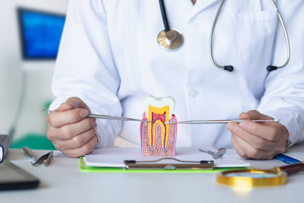 Emergency Dentist Open Today in TN